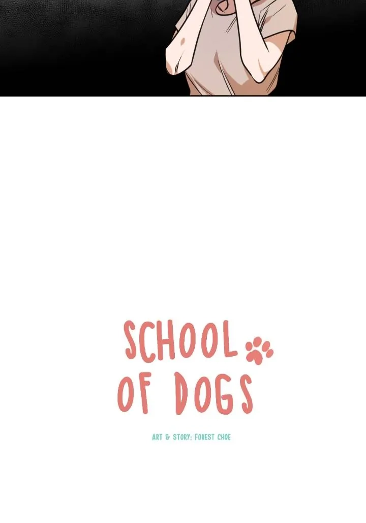 School of Dogs Chapter 53 page 19 - 