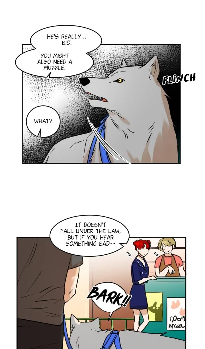 School of Dogs Chapter 56 page 21 - 