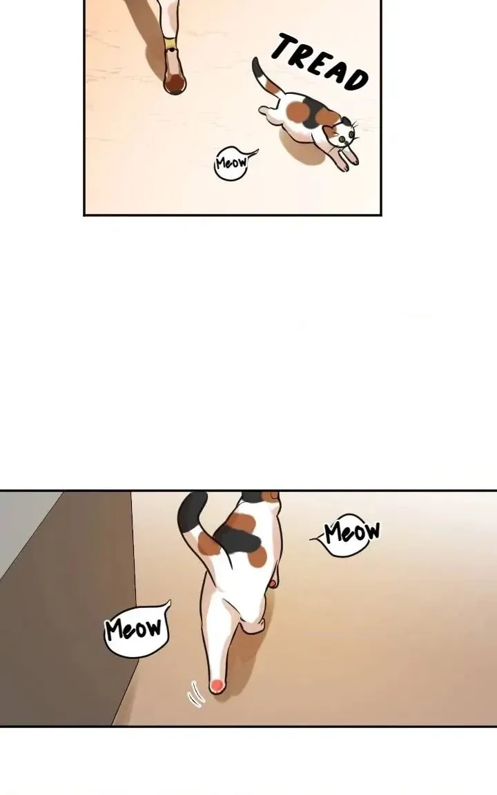 School of Dogs Chapter 57 page 40 - 