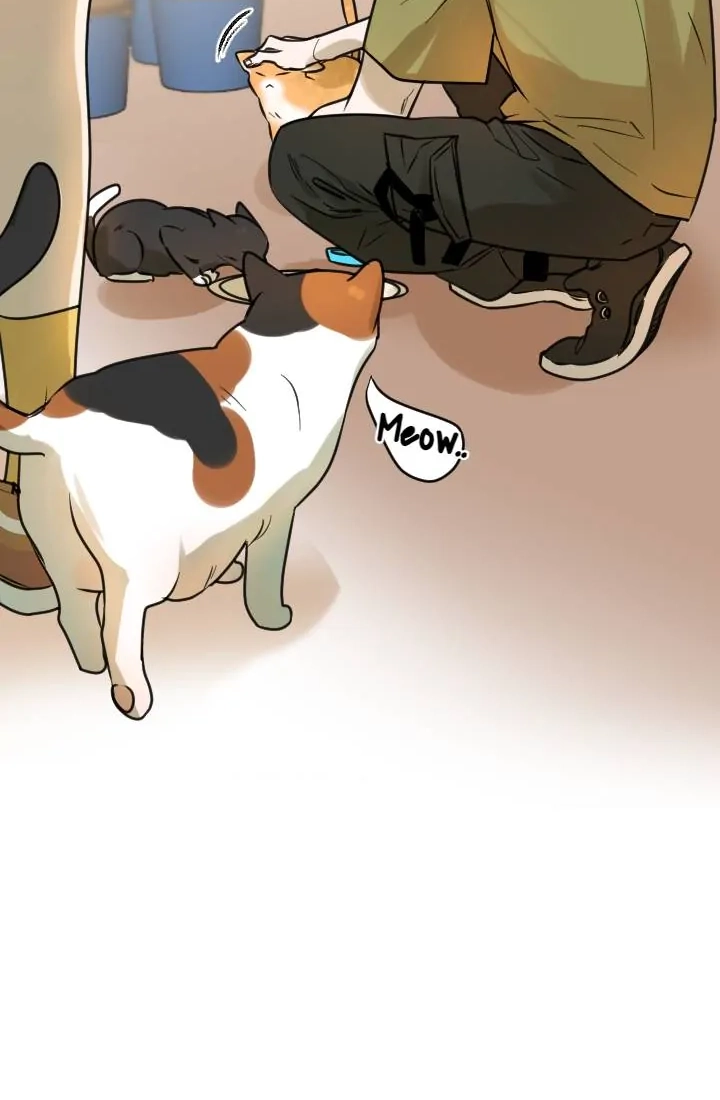 School of Dogs Chapter 57 page 42 - 