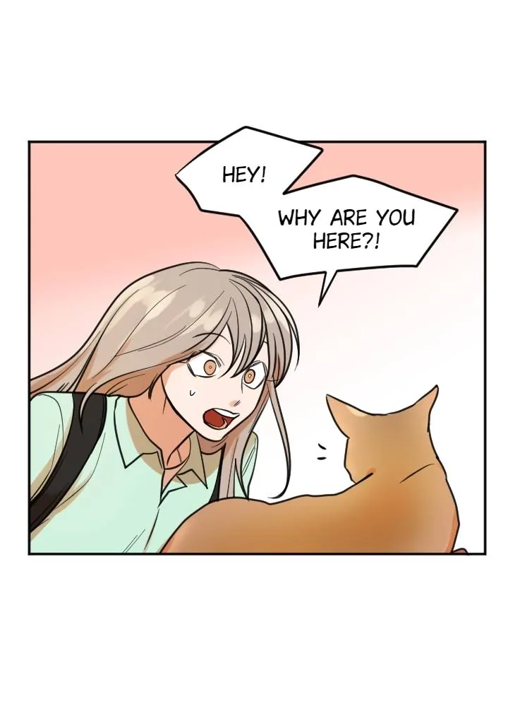 School of Dogs Chapter 62 page 15 - 
