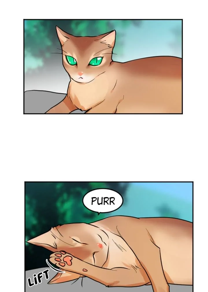 School of Dogs Chapter 62 page 16 - 