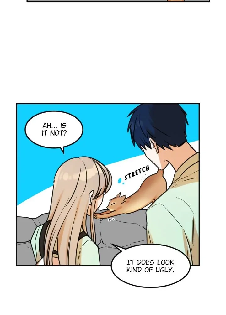 School of Dogs Chapter 62 page 17 - 