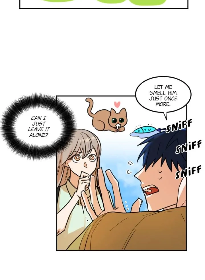 School of Dogs Chapter 62 page 32 - 