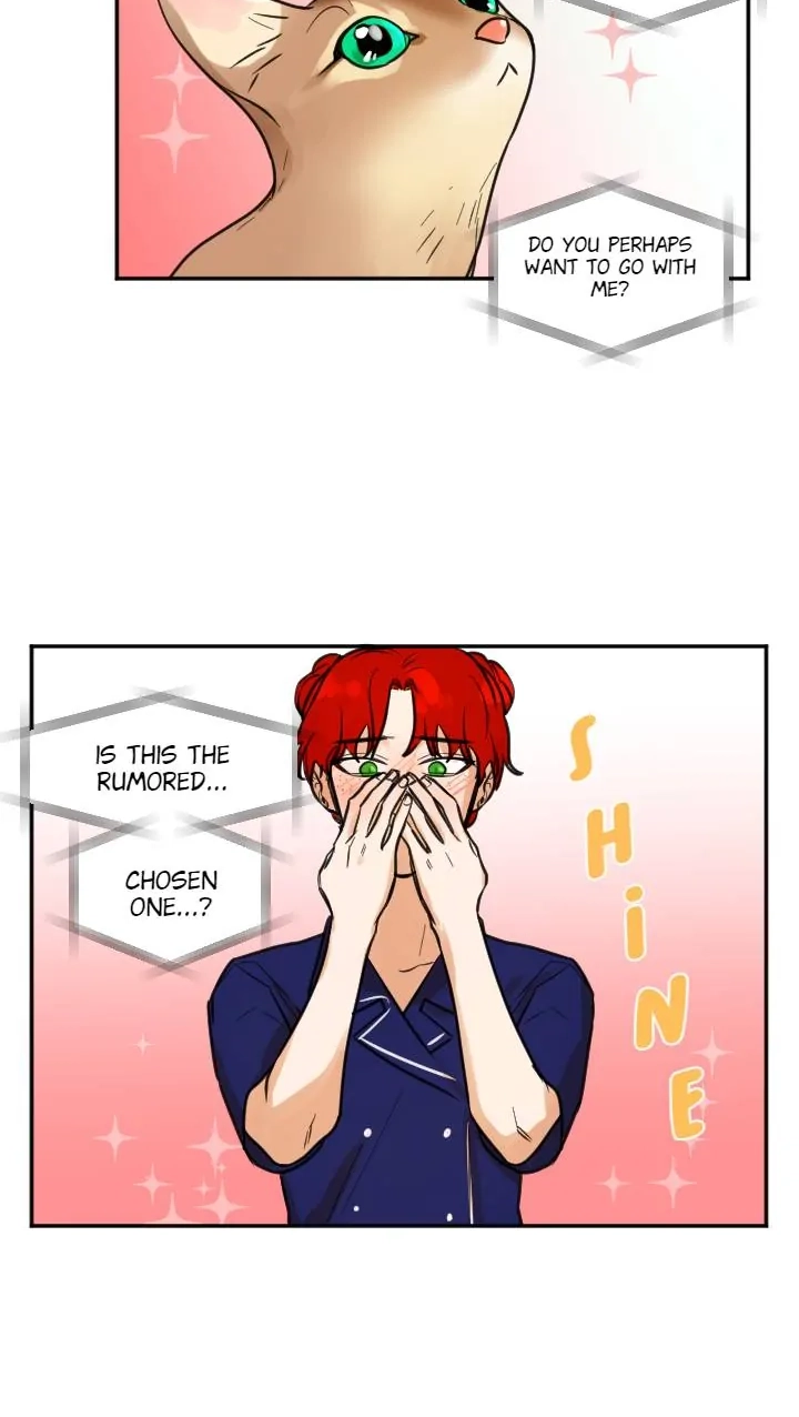 School of Dogs Chapter 62 page 37 - 