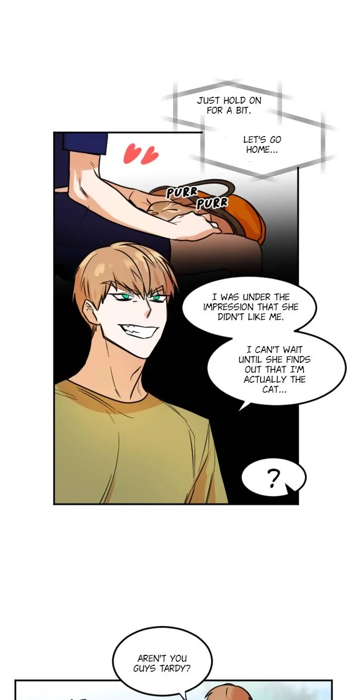 School of Dogs Chapter 62 page 38 - 