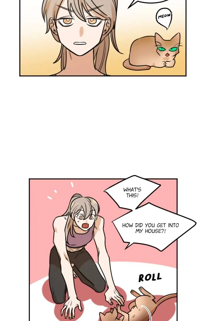 School of Dogs Chapter 64 page 37 - 