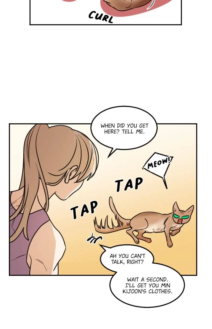 School of Dogs Chapter 64 page 38 - 