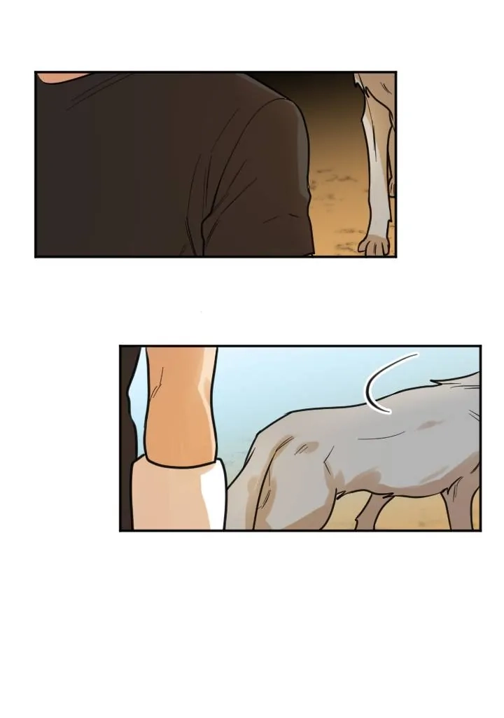School of Dogs Chapter 66 page 16 - 