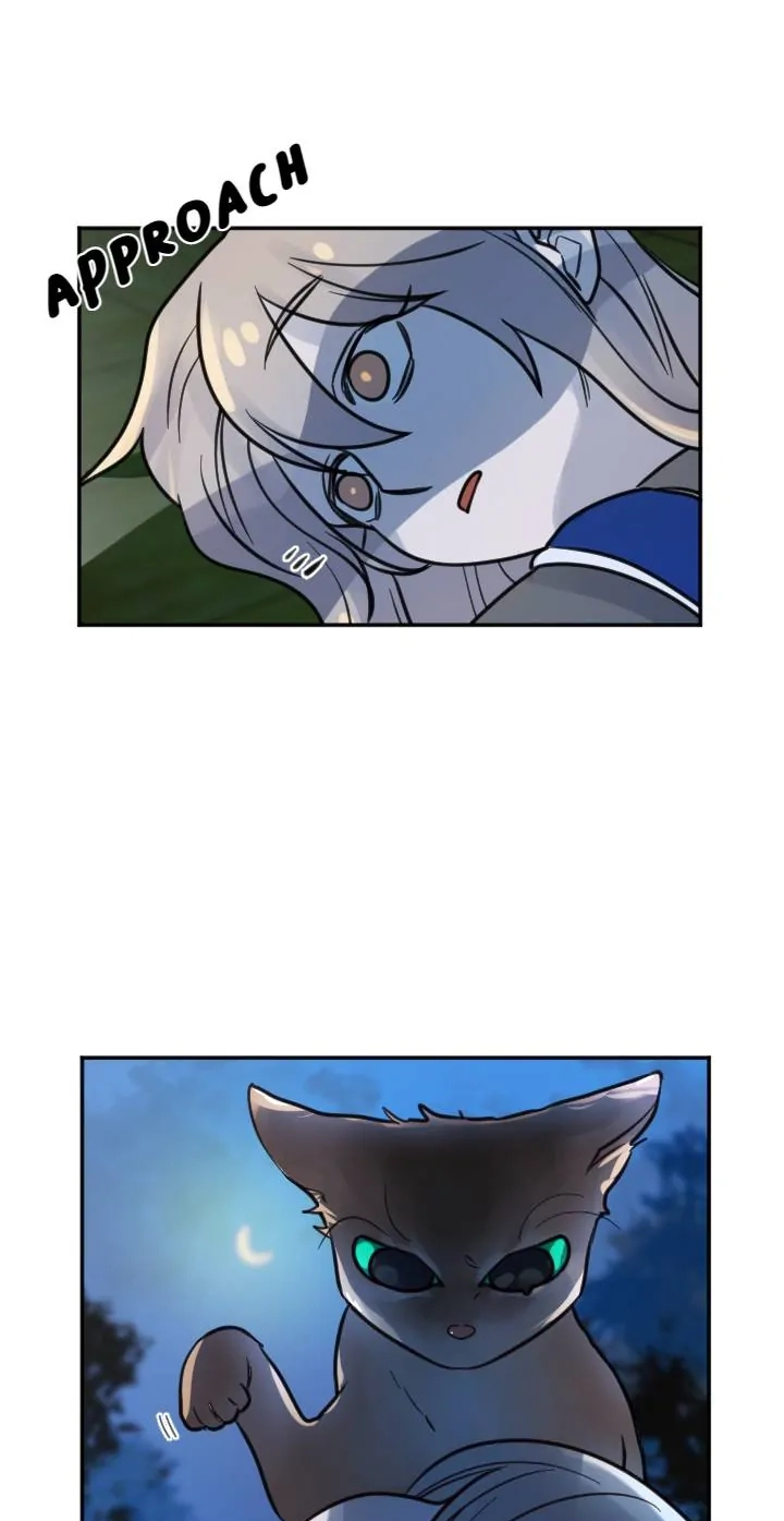 School of Dogs Chapter 70 page 29 - 