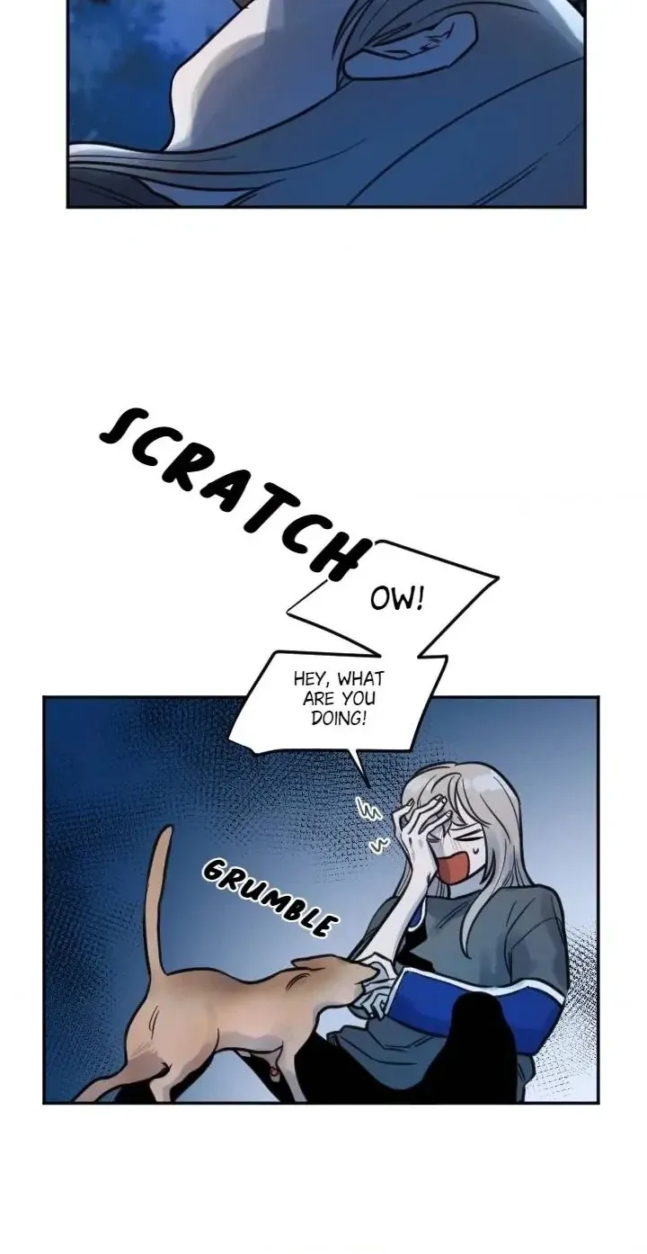 School of Dogs Chapter 70 page 30 - 