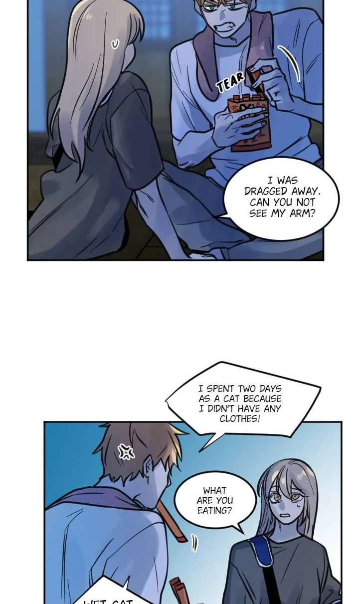 School of Dogs Chapter 70 page 32 - 