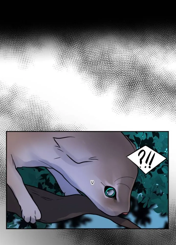 School of Dogs Chapter 70 page 38 - 