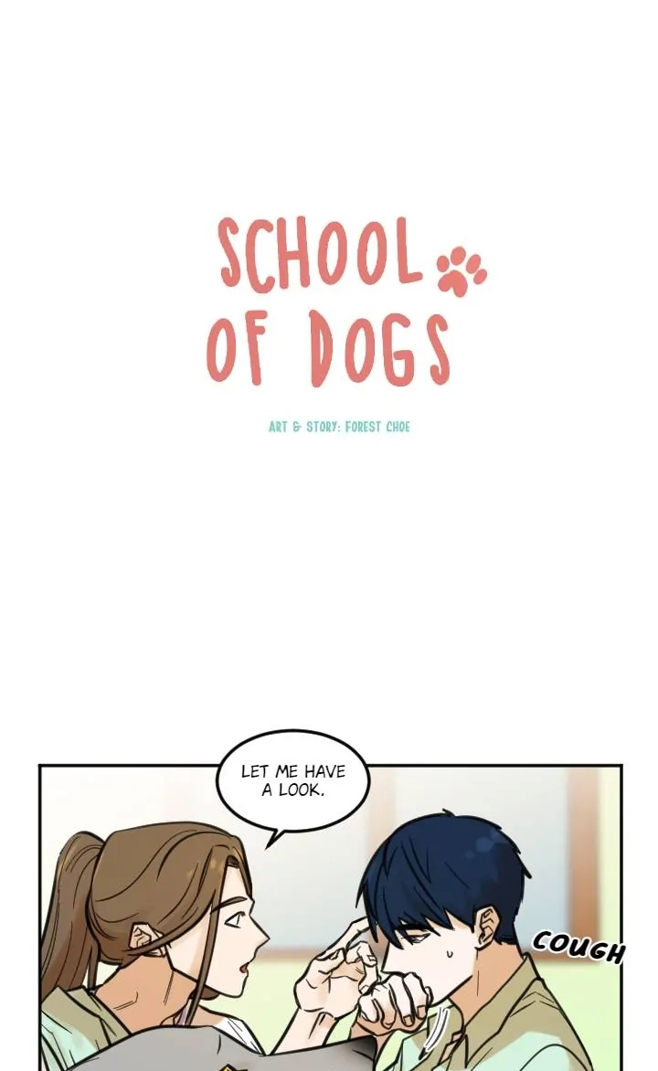 School of Dogs Chapter 72 page 13 - 