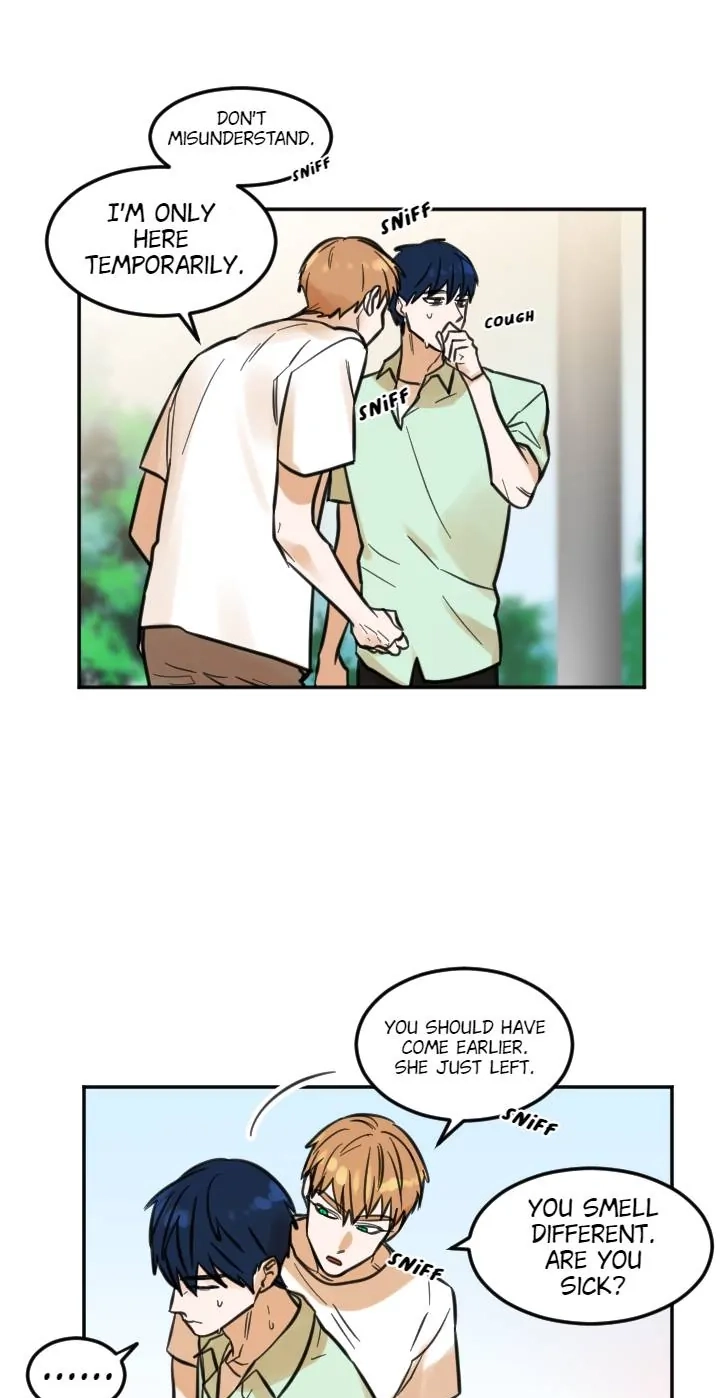 School of Dogs Chapter 72 page 38 - 
