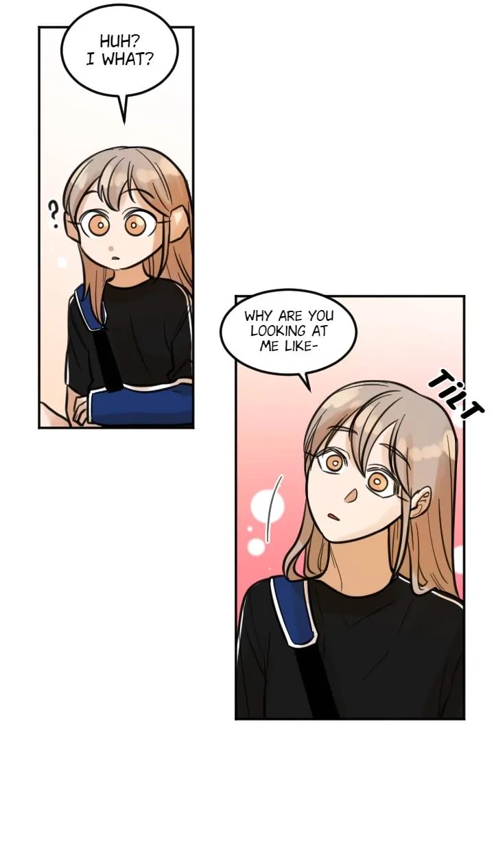 School of Dogs Chapter 73 page 41 - 