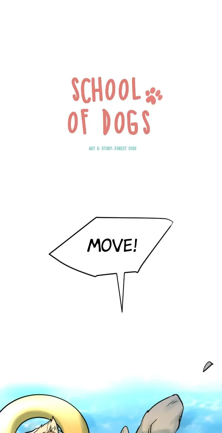 School of Dogs Chapter 76 page 13 - 