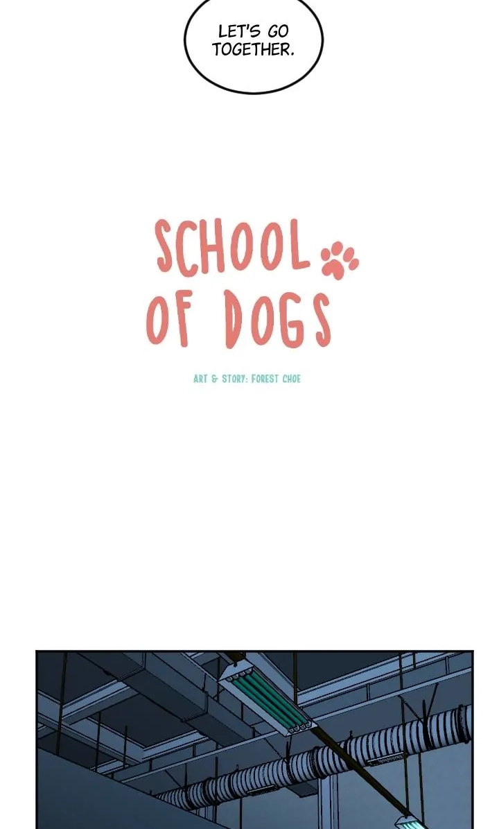 School of Dogs Chapter 78 page 19 - 
