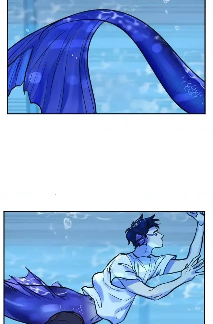 School of Dogs Chapter 78 page 40 - 