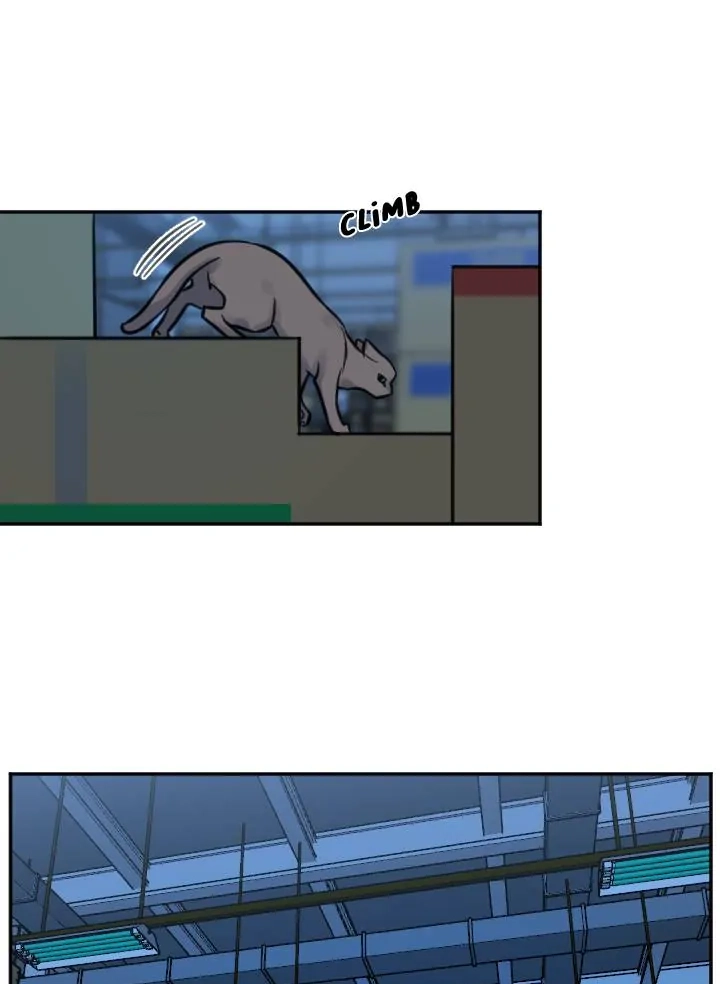 School of Dogs Chapter 80 page 39 - 