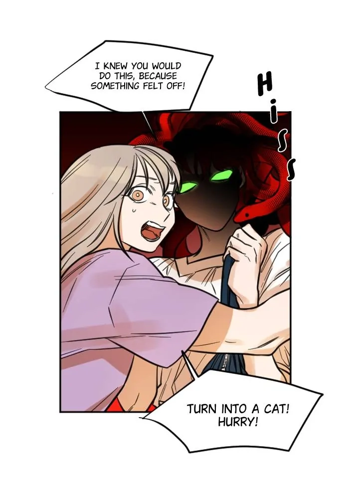 School of Dogs Chapter 86 page 37 - 
