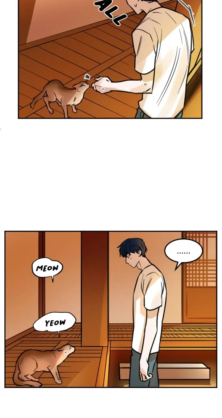 School of Dogs Chapter 87 page 11 - 