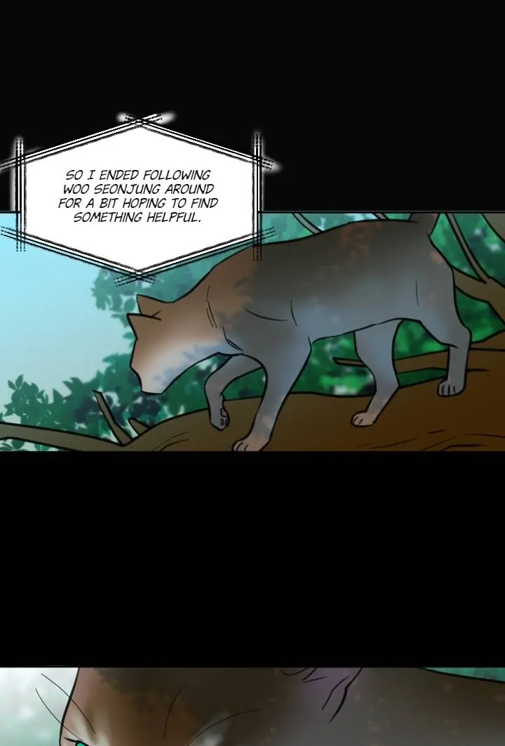 School of Dogs Chapter 87 page 17 - 