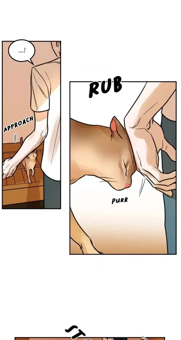 School of Dogs Chapter 87 page 10 - 