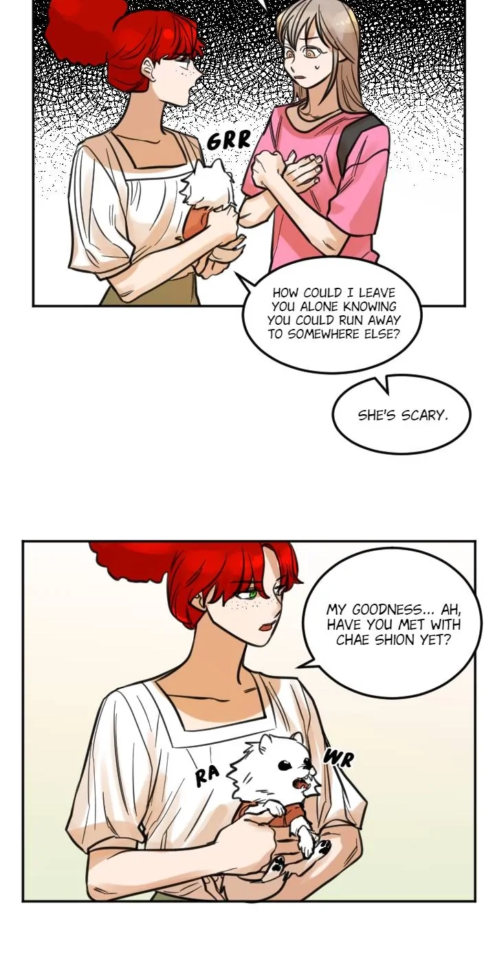 School of Dogs Chapter 88 page 36 - 