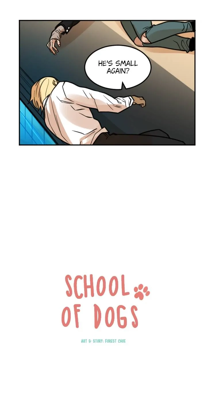 School of Dogs Chapter 90 page 37 - 