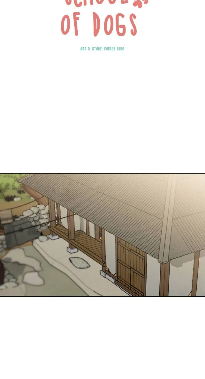 School of Dogs Chapter 92 page 21 - 