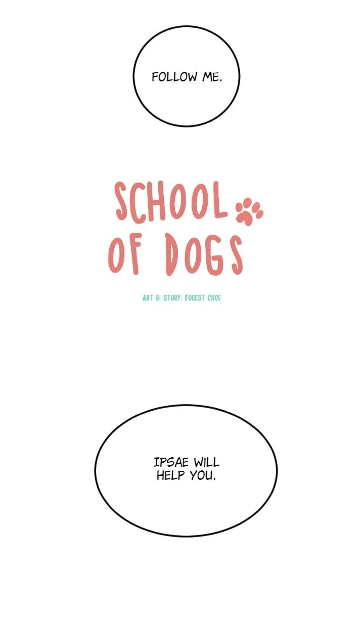 School of Dogs Chapter 98 page 19 - 