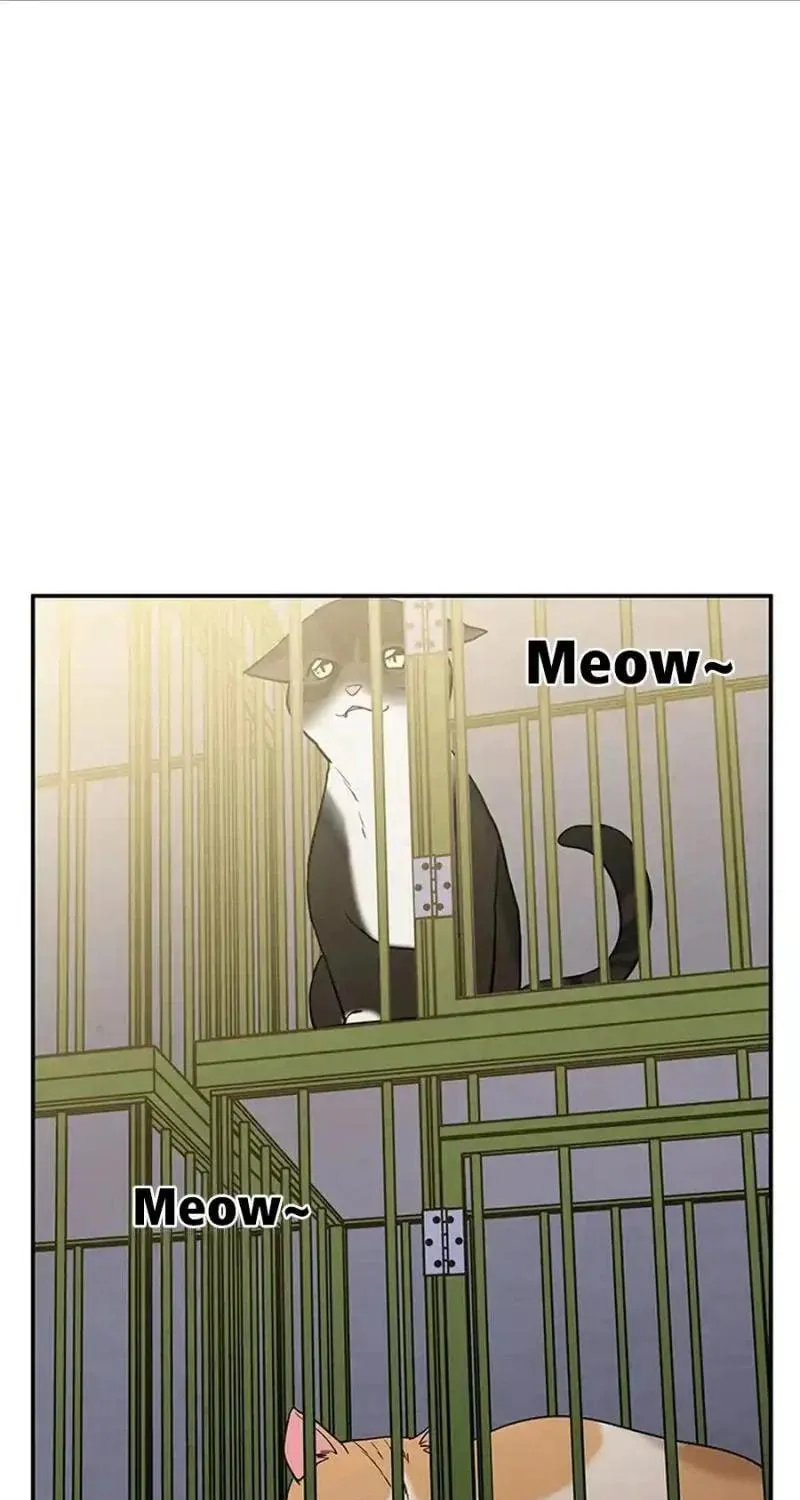 Read Scorpion Time chapter 13 image 68 on Lezhin