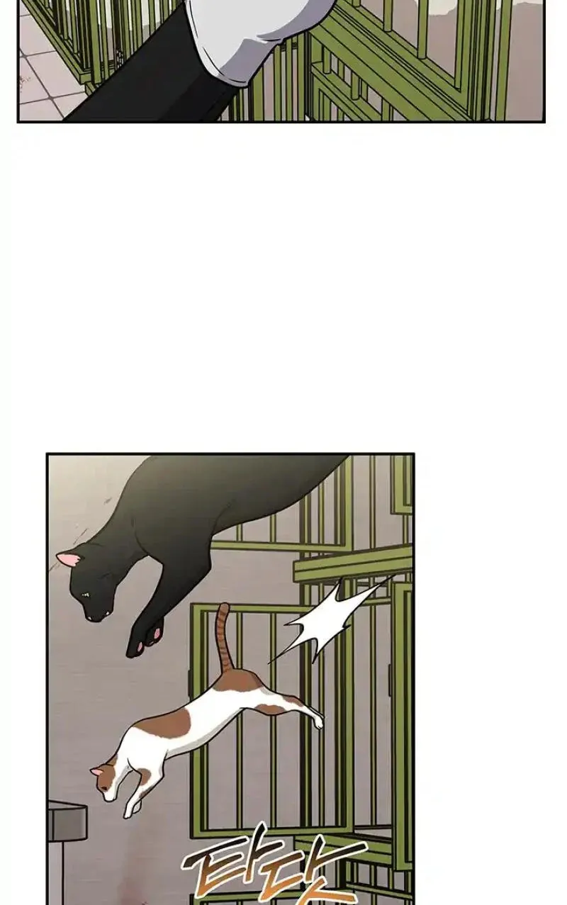 Read Scorpion Time chapter 14 image 31 on Lezhin