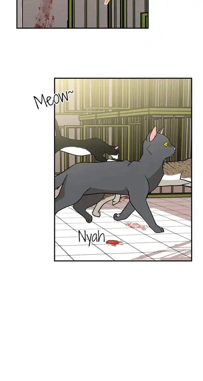 Read Scorpion Time chapter 14 image 32 on Lezhin