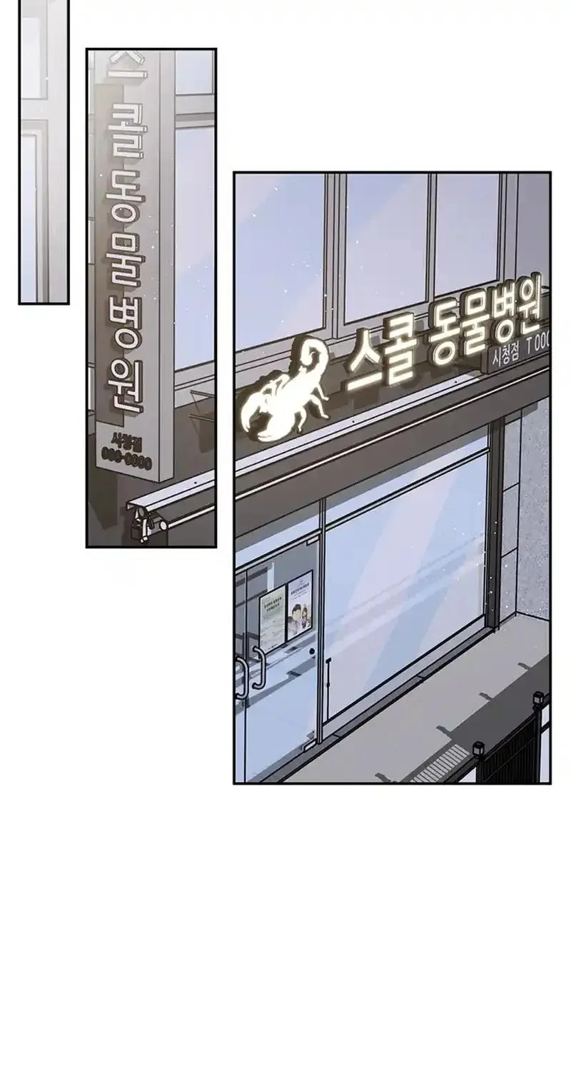 Read Scorpion Time chapter 21 image 61 on Lezhin