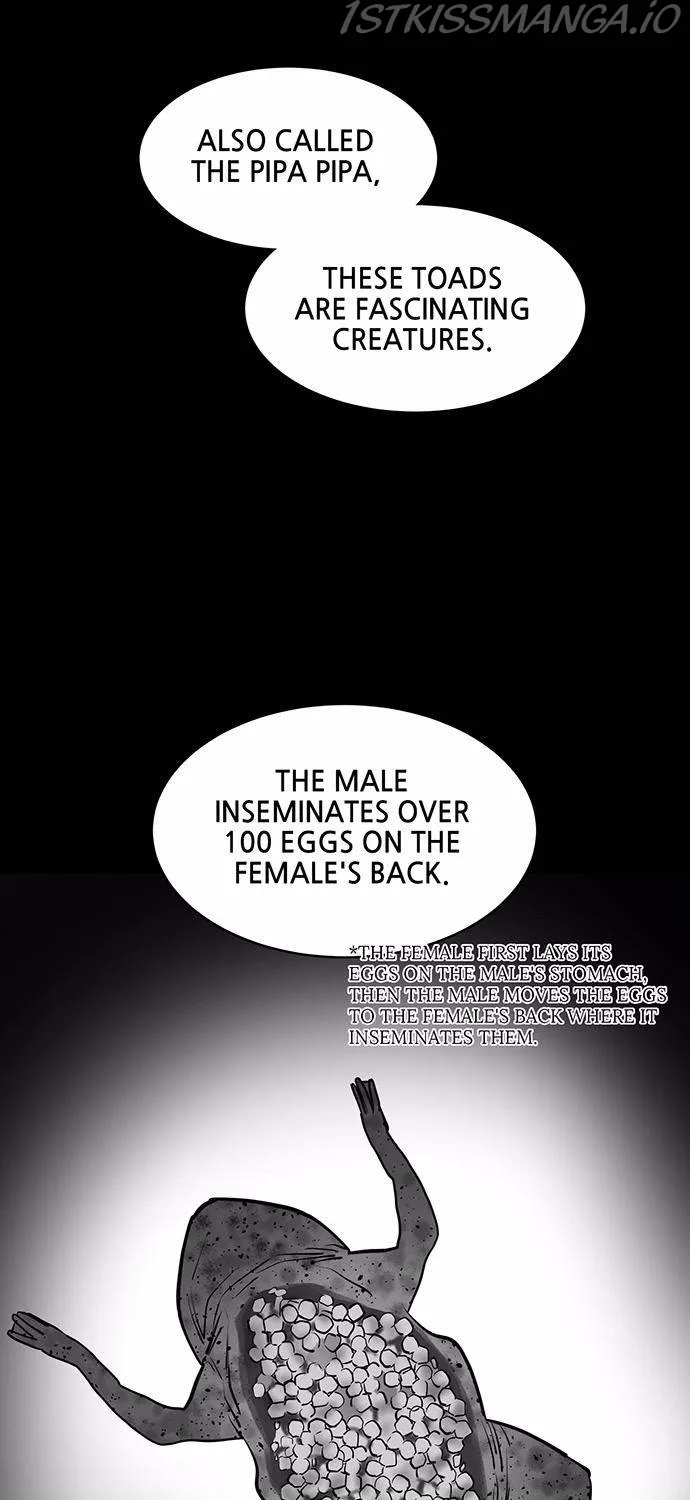 Read Scroll if You Dare chapter 10 image 94 on Lezhin