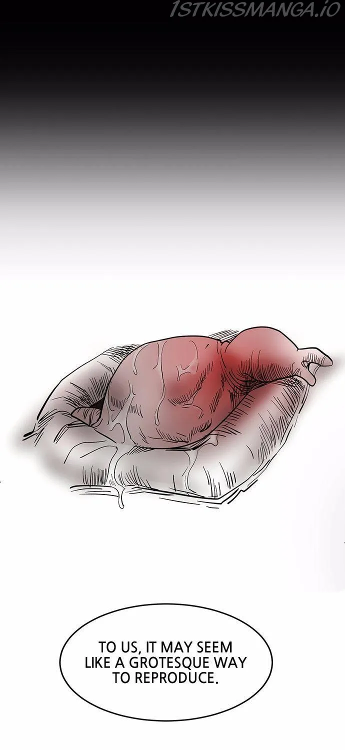 Read Scroll if You Dare chapter 10 image 96 on Lezhin