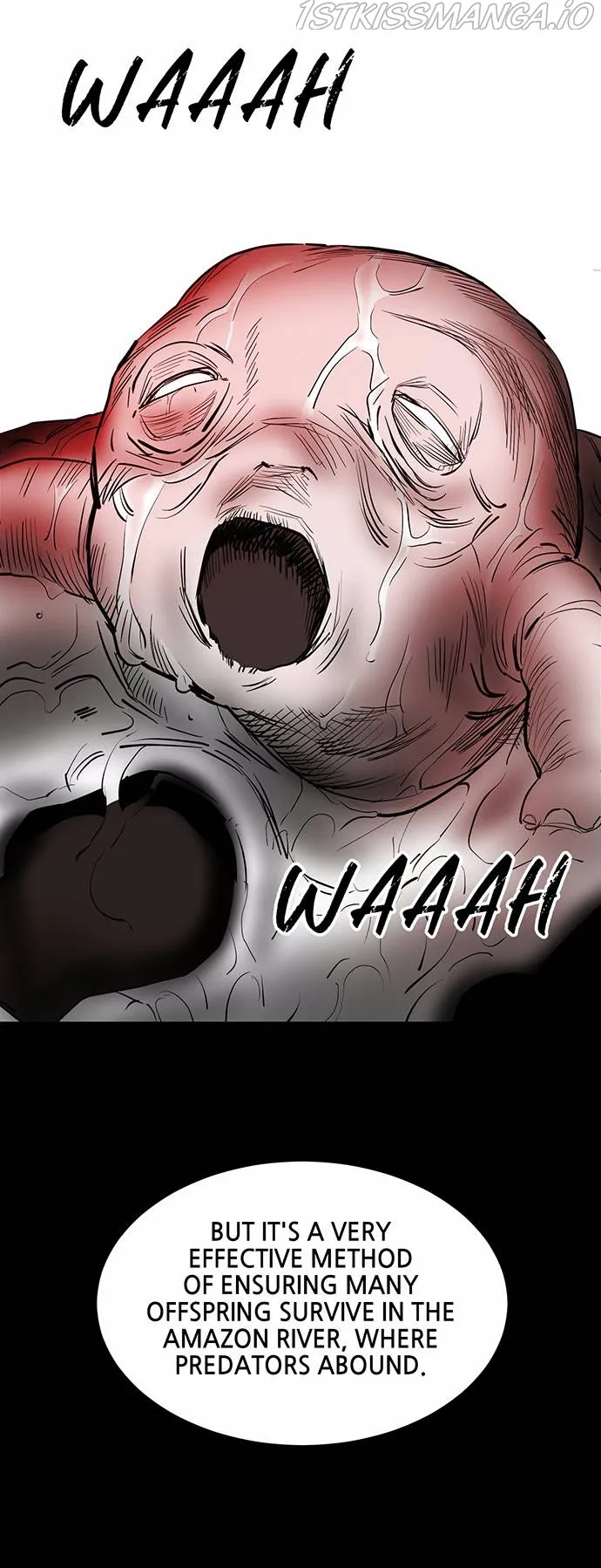 Read Scroll if You Dare chapter 10 image 98 on Lezhin