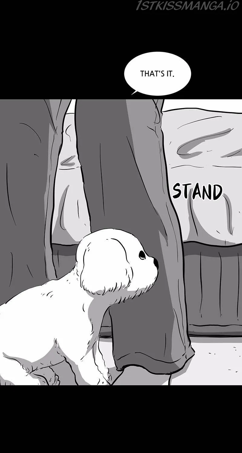 Read Scroll if You Dare chapter 15 image 43 on Lezhin