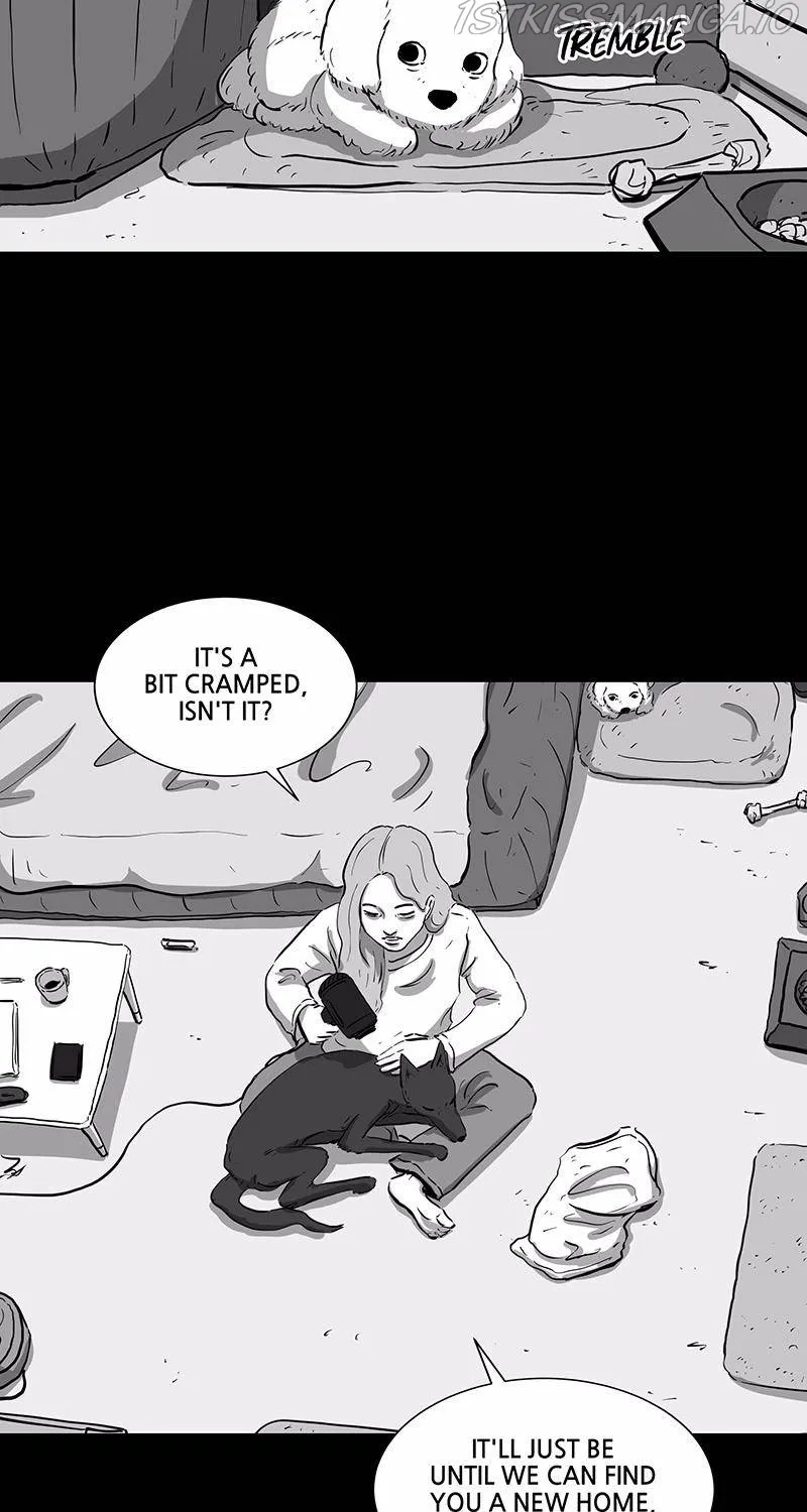 Read Scroll if You Dare chapter 15 image 55 on Lezhin