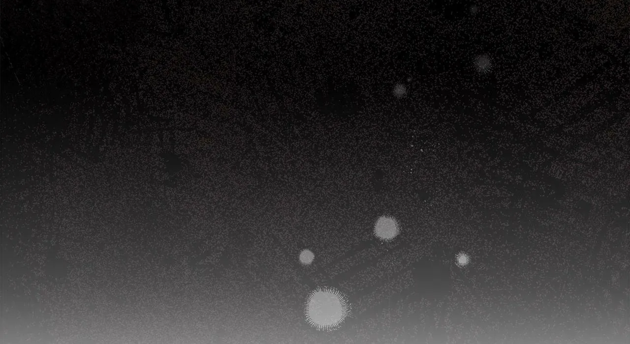 Secha Replica Chapter 64 page 76 - 