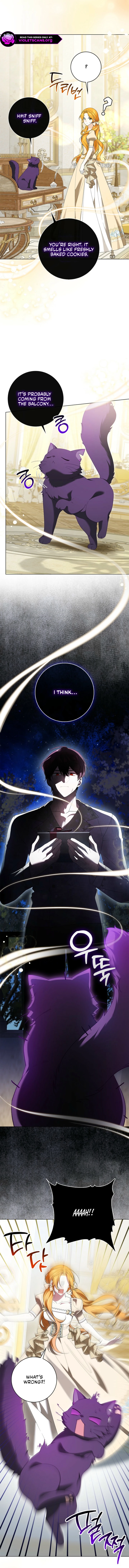 Second Male Lead, Come to My Bed Chapter 51 page 6 - 
