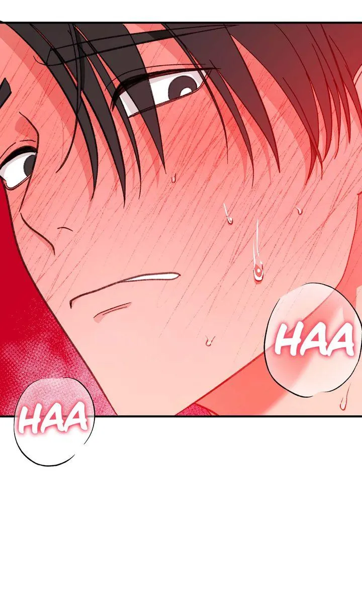 Read Secret Decoding Operation chapter 5 image 3 on Lezhin