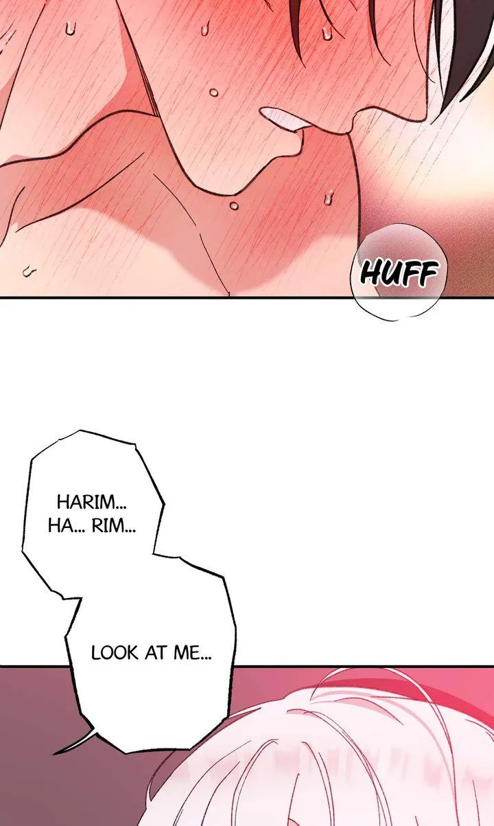 Read Secret Decoding Operation chapter 5 image 39 on Lezhin