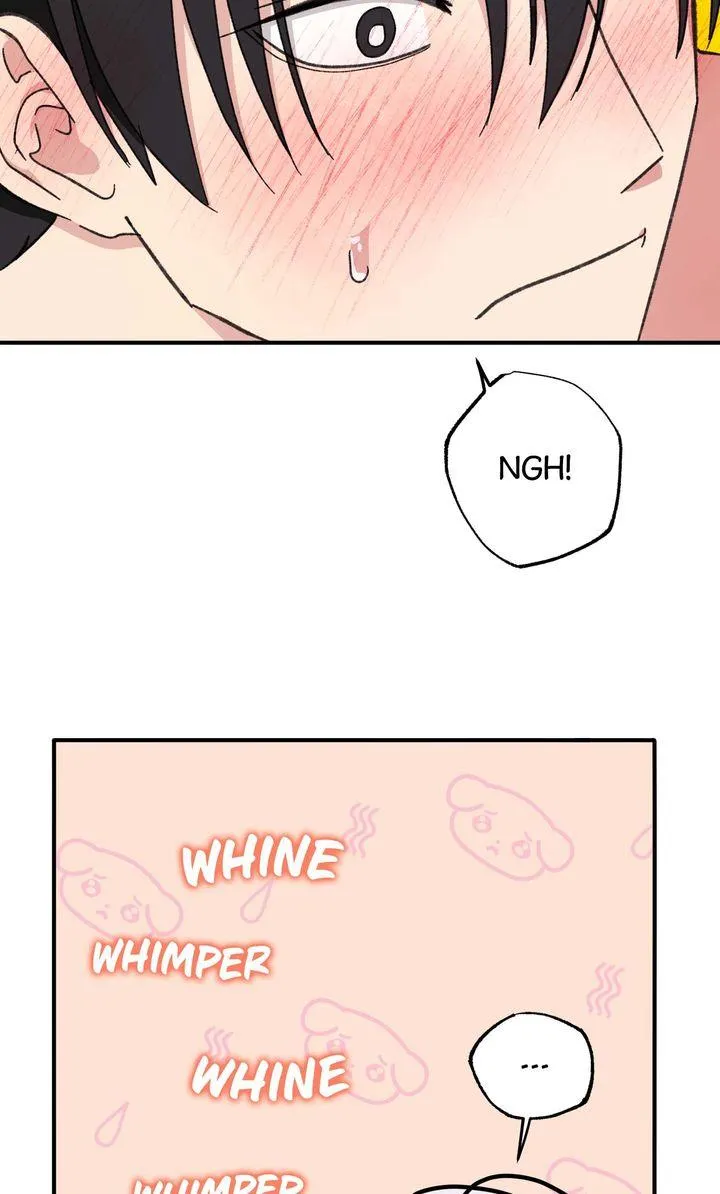 Read Secret Decoding Operation chapter 6 image 70 on Lezhin