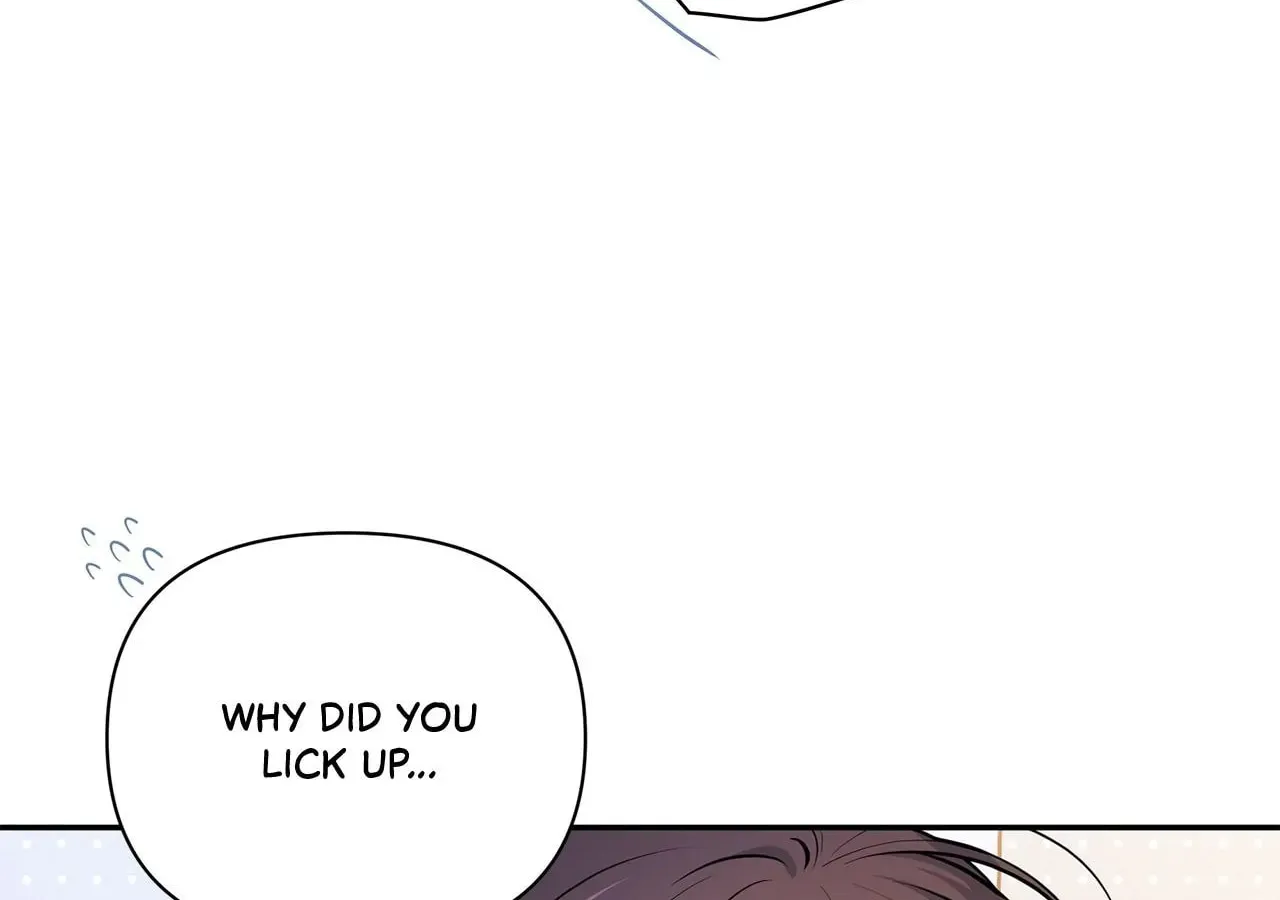 Secret Love Affair Chapter 21 page 67 - 