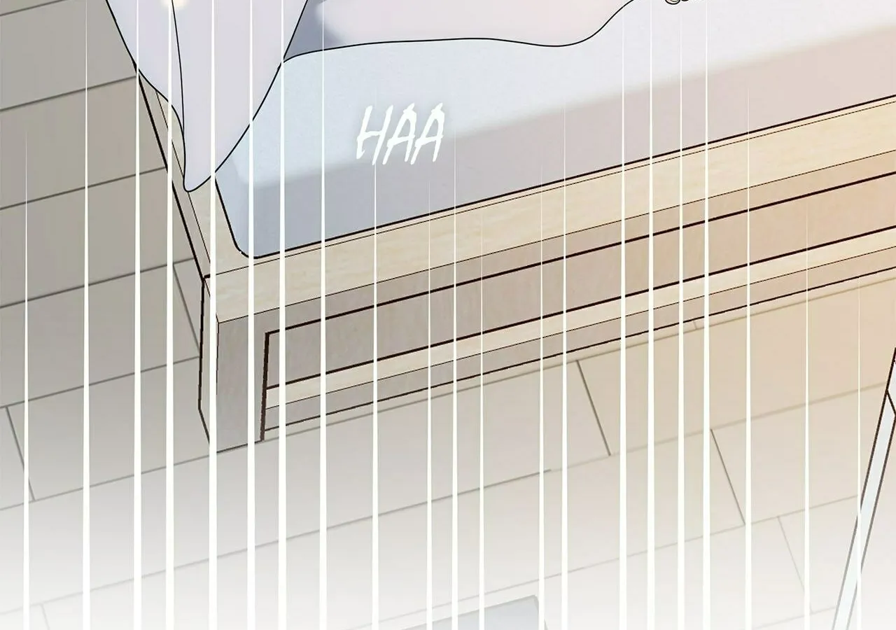 Secret Love Affair Chapter 39 page 101 - 