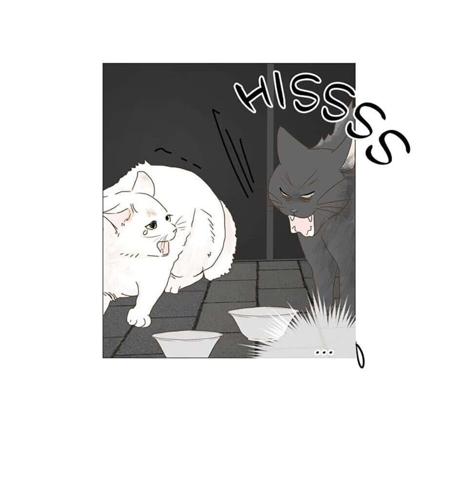 Read Secret Relationships chapter 9 image 5 on Lezhin