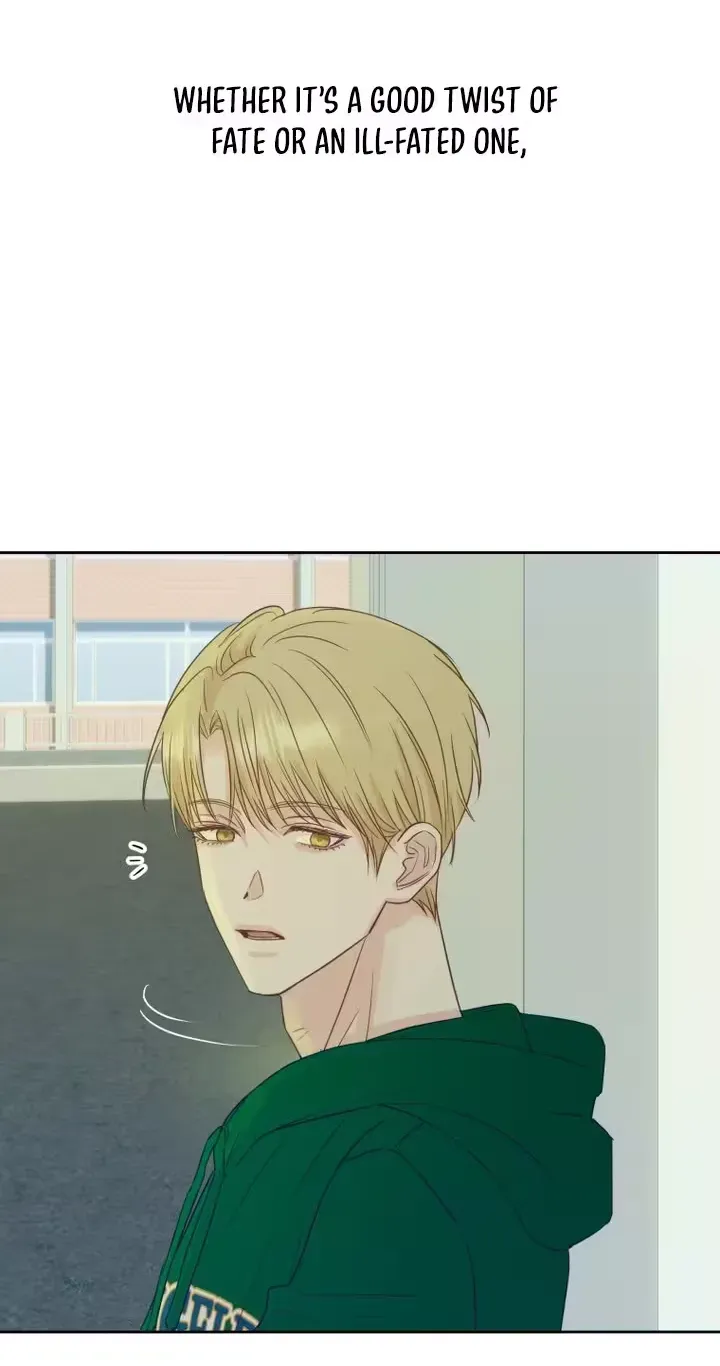 Read Seduce Me With All Your Might chapter 3 image 80 on Lezhin